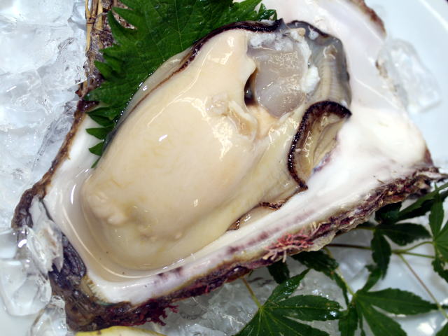 牡蠣←海のミルク みたいなやつ他にある？