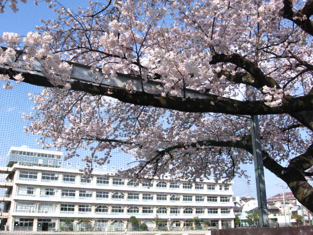 【徹底討論】「中学生に戻れる」「10億円貰える」どっちがいい？?