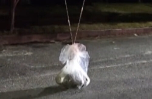 【ヤバい】北朝鮮の汚物風船、900個に到達　韓国政府は国家安全保障会議で対策協議へ