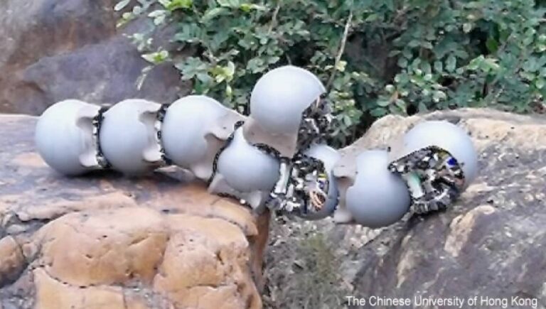 カタツムリにヒントを得たロボット、群れで協力して様々な作業をこなす