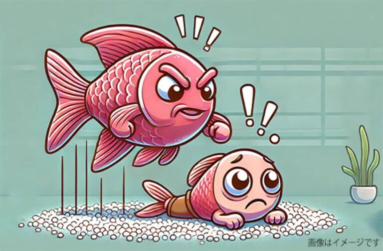魚のも怠けるとお仕置きされる。体罰で群れの社会秩序を維持する魚たち