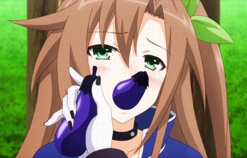 【画像】蕎麦屋で「水茄子」なるものを注文したらどう見ても切っただけの生ナスを出された！ふざけんな！　→　食べてみた結果ｗｗｗｗｗ