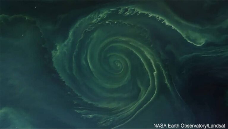 バルト海に巨大な緑色の渦巻きが出現、藻の大量発生でデッドゾーンが形成されていた