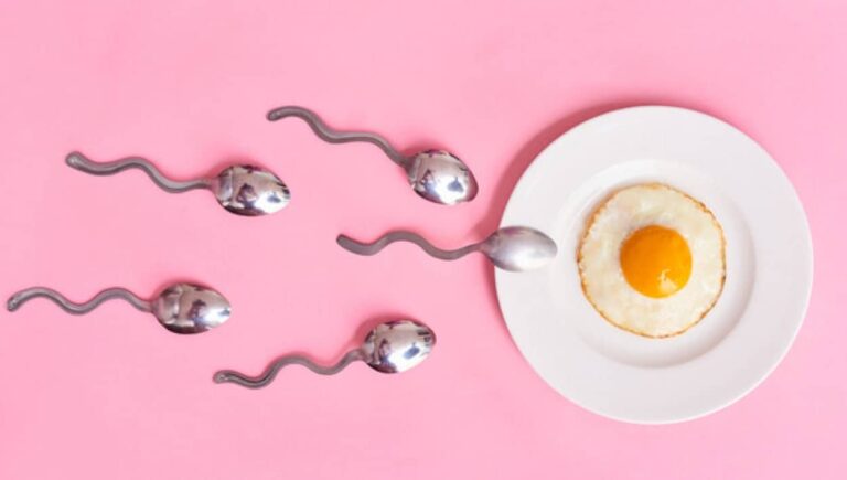 男性の精子数は本当に減少しているのか？それよりも大幅な質の低下が起きているとする新研究