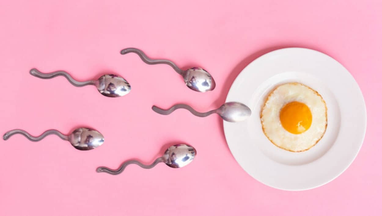 男性の精子数は本当に減少しているのか？それよりも大幅な質の低下が起きているとする新研究