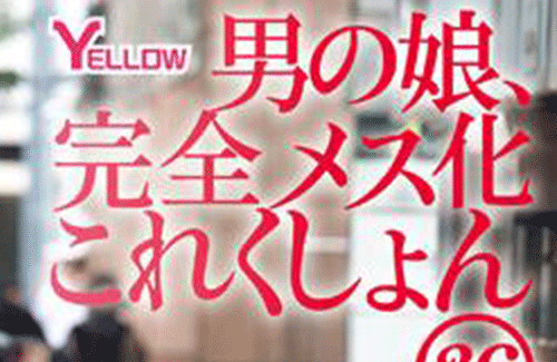 石垣島の蝶々がたった4年でメス化！！ 9割以上がメスになるとかマンガすぎるでしょ