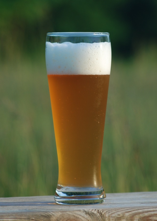 周り「ビールうまw（嘘ンゴ…本当は苦いし高いし体に悪いンゴ…）」ワイ「コーラうめぇ！ww」