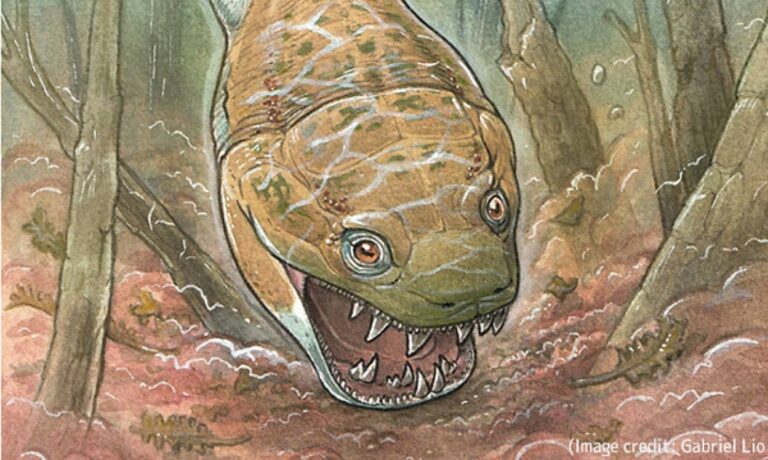 恐竜誕生前、2億8000万年前の頂点捕食者だった沼の巨大怪物が発見される
