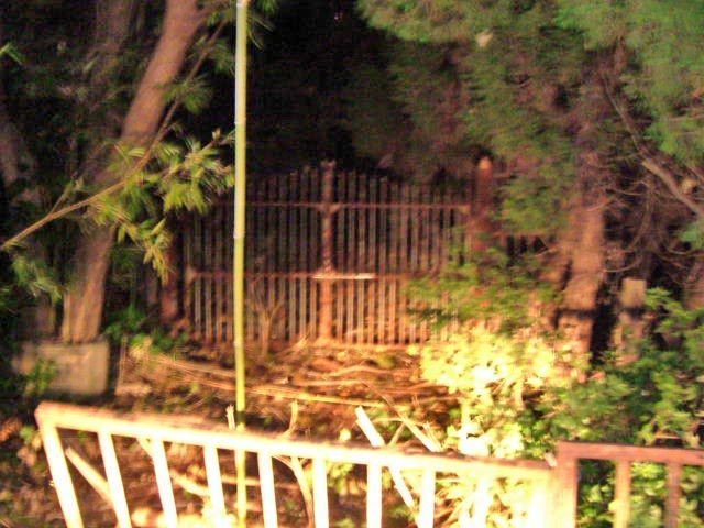 夏だし心霊スポットで体験した不思議な話、怖い話しようぜｗｗｗｗｗｗｗｗ