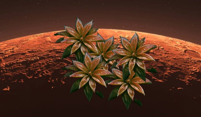火星でも生存可能なコケ植物が発見される。テラフォーミングに役立つかも