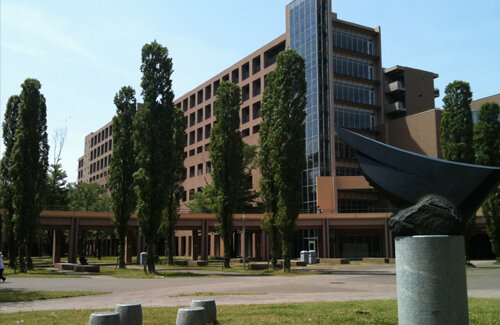 川口クルド人団体幹部の東京外大講師、大学講師は偽称と判明！デモで「日本人◯ね！」と叫んでいた人物か