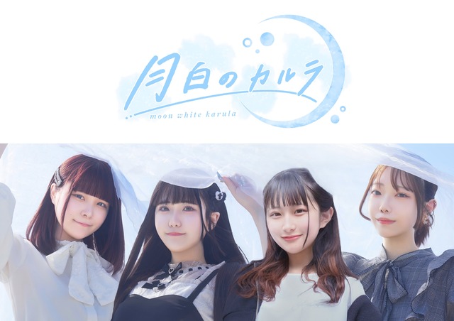 最近デビューしたアイドルさん、クビになった理由が「犯罪者で保護観察中だと判明した。」