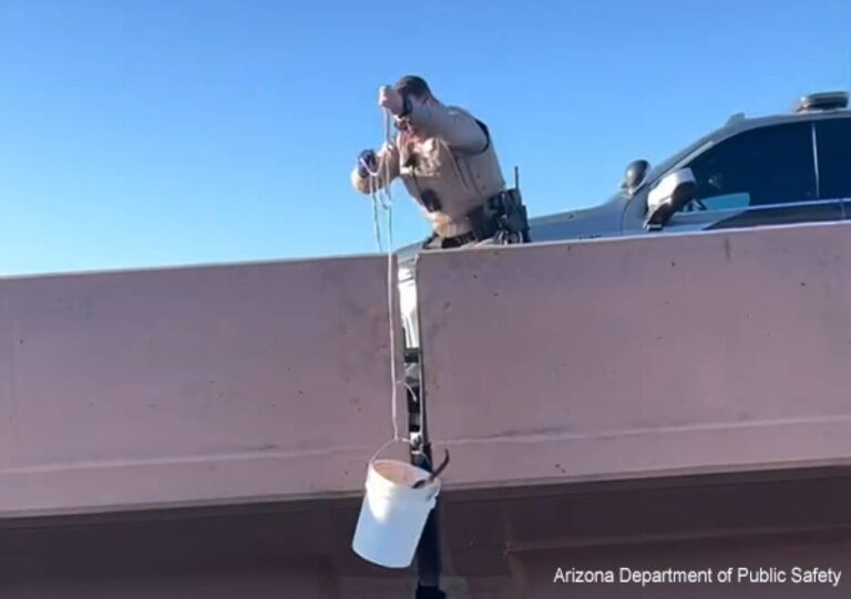 道路から飛び降りようとしている人がいる、と通報を受けた警官だが一緒に猫を救うこととなる