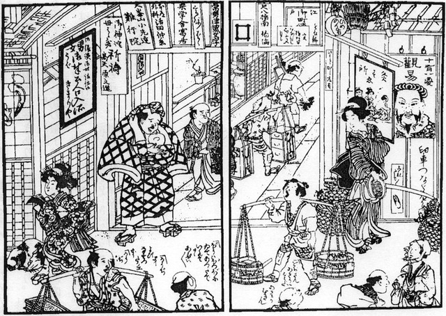 江戸時代以前は大病したらそのまま死んでたよね