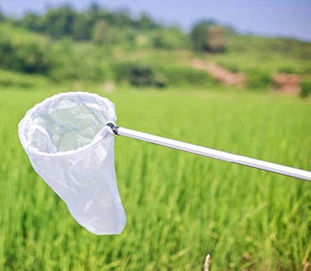 小学生の頃の夏休みによくしてたことって何？