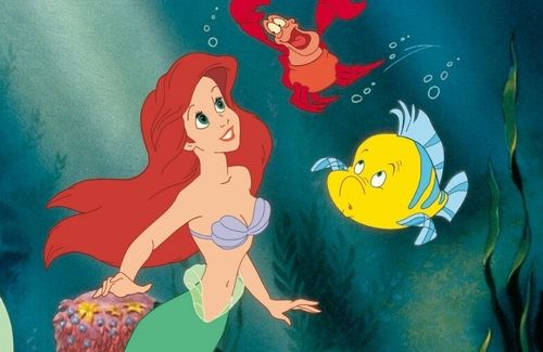 【画像】『リトルマーメイド』アイスショーのアリエルを撮りたかった女性、モブ魚のせいで全てが台無しになってしまいむせび泣く　→　これはｗｗｗｗｗ