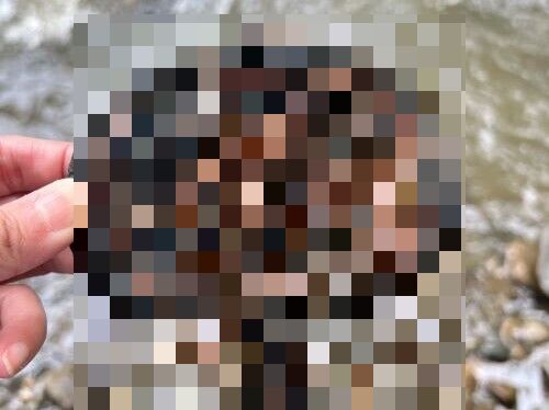 X民「川で鉄の塊みつけた。なんだろこれ？」ﾊﾟｼｬｯ→ネットの集合知でとんでもないモノだと判明する・・・