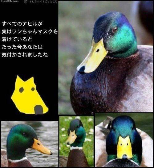 最高にグッとくる画像貼っていけ『消毒済みｗｗｗｗｗ』