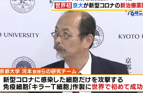 京都大学、新型コロナに感染した細胞だけを攻撃する“キラーT細胞”の作製に成功！重症患者への効果も期待、5年後に実用化へ