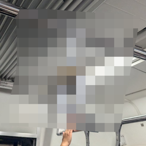 「電車のつり革にバカでかい〇〇止まってて心臓止まった」ﾊﾟｼｬｯ→マジで驚愕の生物が止まってて14万いいねｗｗｗｗｗ