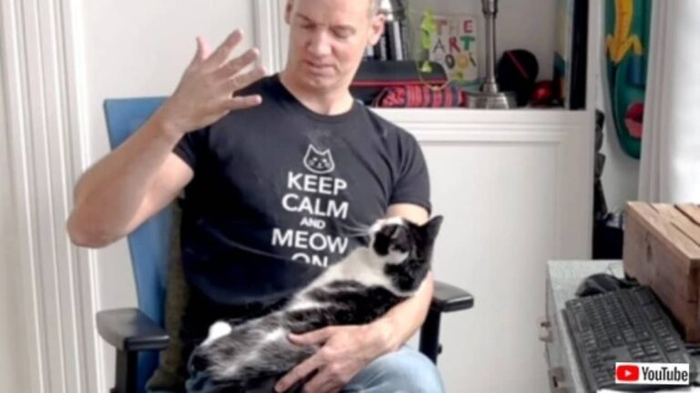 「家中が猫砂だらけ、ボクはそれを踏みっぱなし！」トイレ砂との戦いを歌った歌がリリースされていた？
