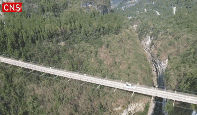 ペラペラなんだけど…薄すぎて怖い吊り橋