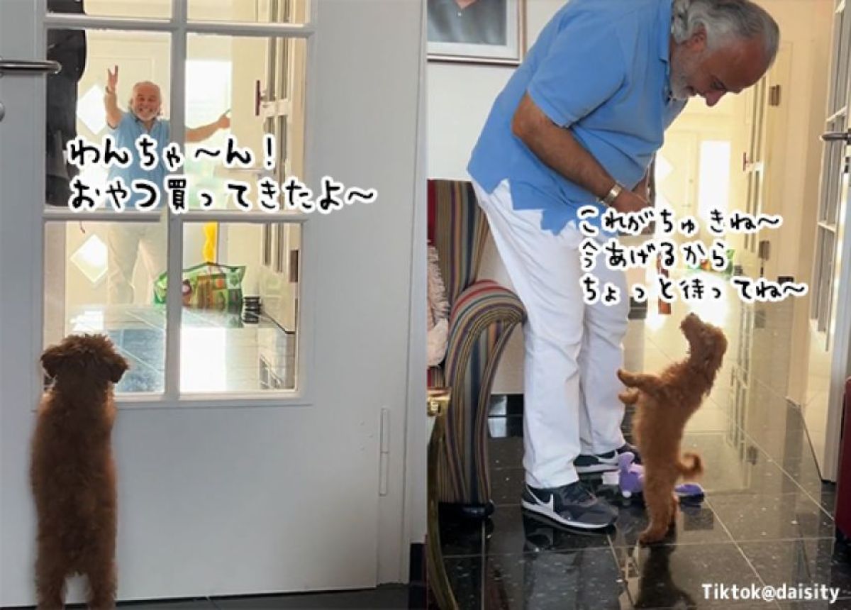 ここにまた1人。犬などいらん！といっていた父親の豹変っぷりをごらんください
