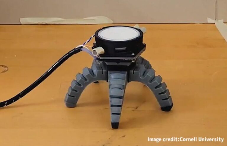 キノコの菌糸体を頭脳にして動く「バイオハイブリッドロボット」が誕生