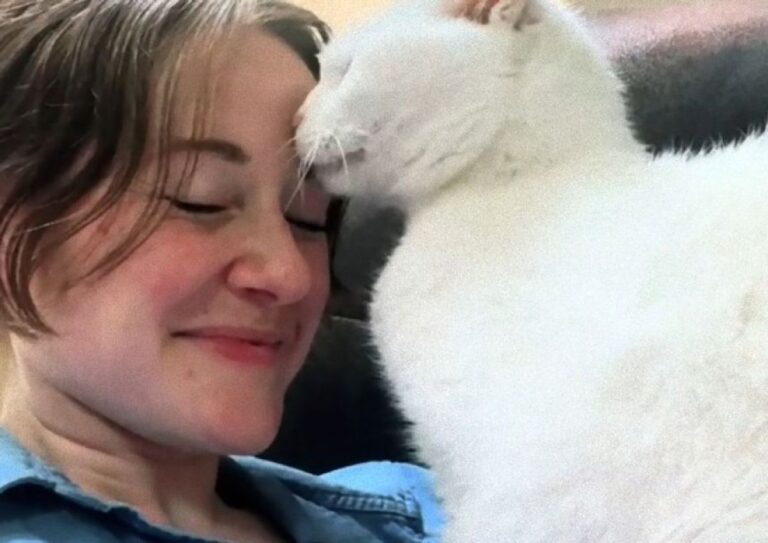 猫生の最後に幸せな思い出をと20歳の猫を引き取った女性、猫から愛情と感謝を受け取る