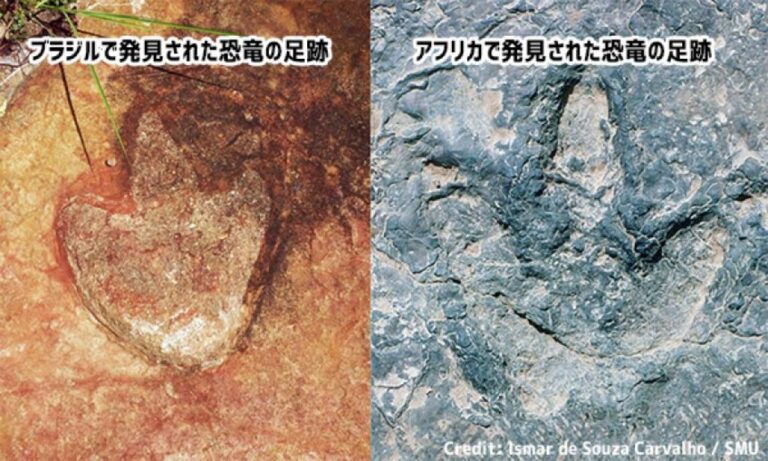 アフリカと南米で同じ恐竜の足跡を発見、ゴンドワナ大陸はまだ分裂していなかった可能性
