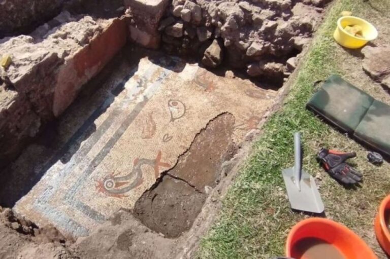 海の生物が描かれた2000年前の美しいローマのモザイク床が英国で発見される