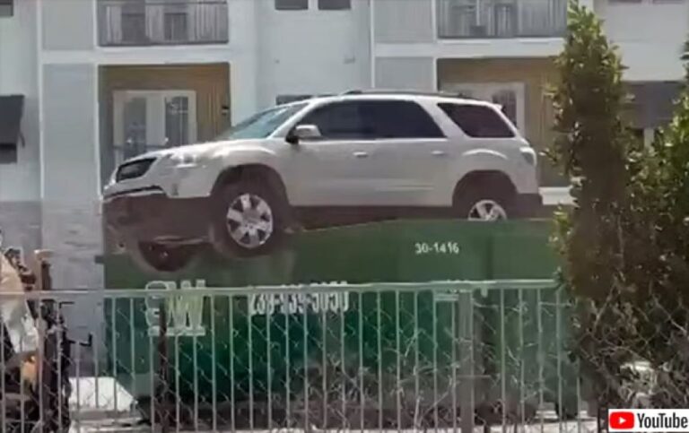 何が起きてる？ゴミ箱の真上にバランスよく車が駐車されているのを見てびっくり