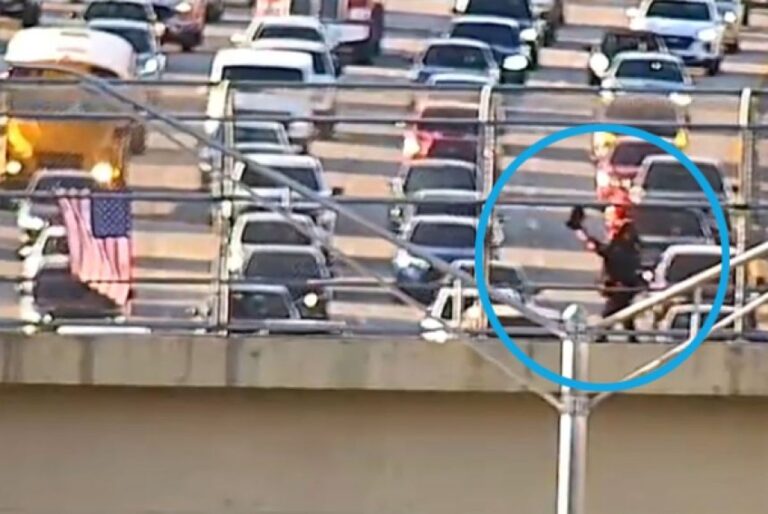 アメリカの歩道橋で武器のようなものを持ちうろつくピエロに扮した人物が現在逃走中