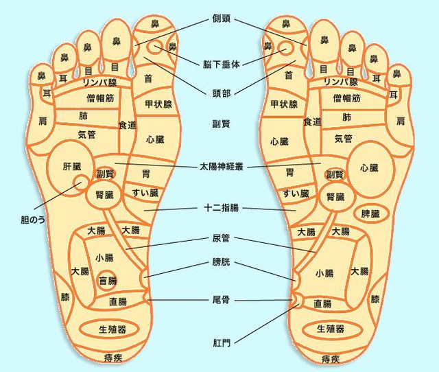なんか為になる画像を貼って