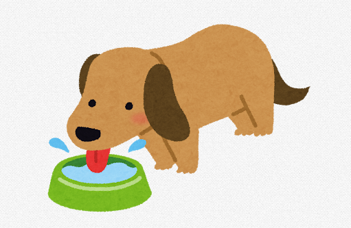 【炎上】Facebook民、フジテレビ番組による撮影で愛犬を亡くしたと主張  → その内容に対し、様々な声が殺到