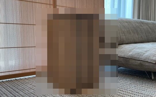 シャープが斬新すぎる見た目の空気清浄機を発売！その価格、55万円ｗｗｗｗｗｗｗ