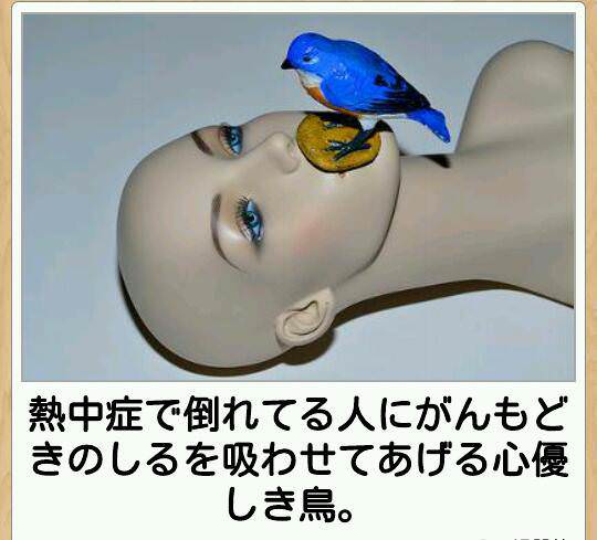 一番笑える最高なボケて貼っていけ
