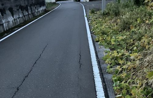 【そこにいるの…？】X民「誰か教えてください。散歩中に愛犬が一点を見つめ動かなくなりました。何もいないのに・・・」→""有識者""の回答がこちら・・・