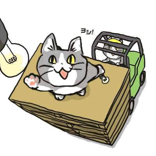 【現場猫案件】運送会社の倉庫で男性が電球を交換しようと積み上げられたパレットの上に乗りフォークリフトで持ち上げ作業中、10m下に転落して意識不明
