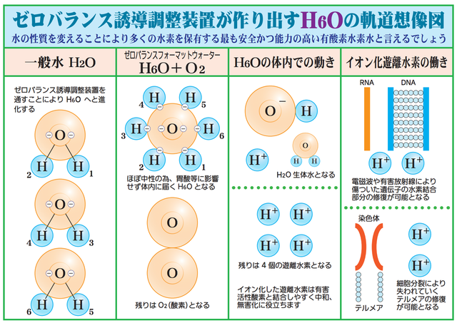 ニセ医学ってなんで無くならないの？