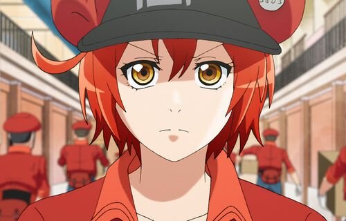 【画像】日本赤十字社「やだ、献血に来たこの人の血液しゅごい…最強すぎる」　→　選ばれし献血の民には日赤からこのようなメールが届くぞ！お前ら知ってましたか？ｗｗｗｗｗ
