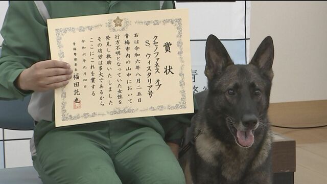 認知症の女性が行方不明、警察が山の中を捜索するも見つからず→警備犬が出動した結果…うおおおお！
