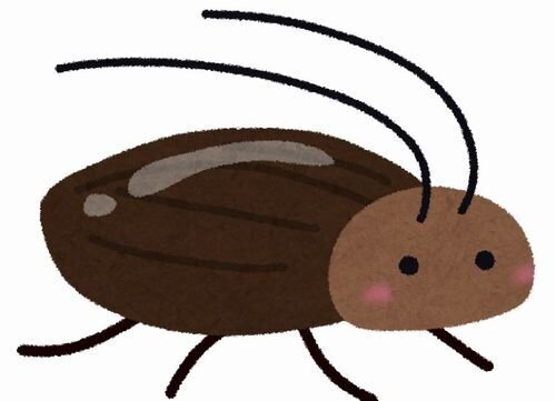 「ゴキブリの駆除を依頼したら高額請求された！」20～30代女性中心に被害　消費者庁が注意喚起