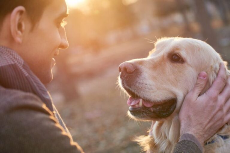 犬と人間は目と目で通じ合う。お互いに見つめあうと脳がシンクロすることが判明