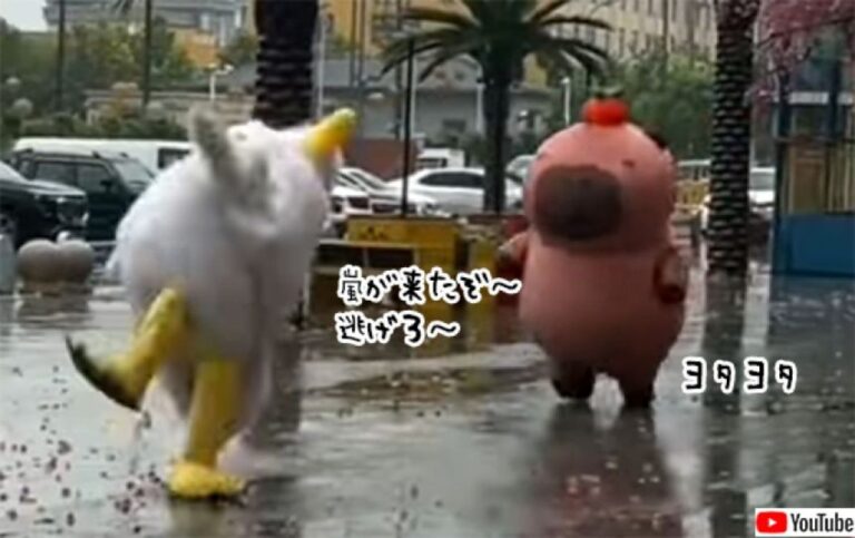 大雨の中走る遊園地のゆるキャラ、ガチョウとカピバラだが、この後大変なことに！
