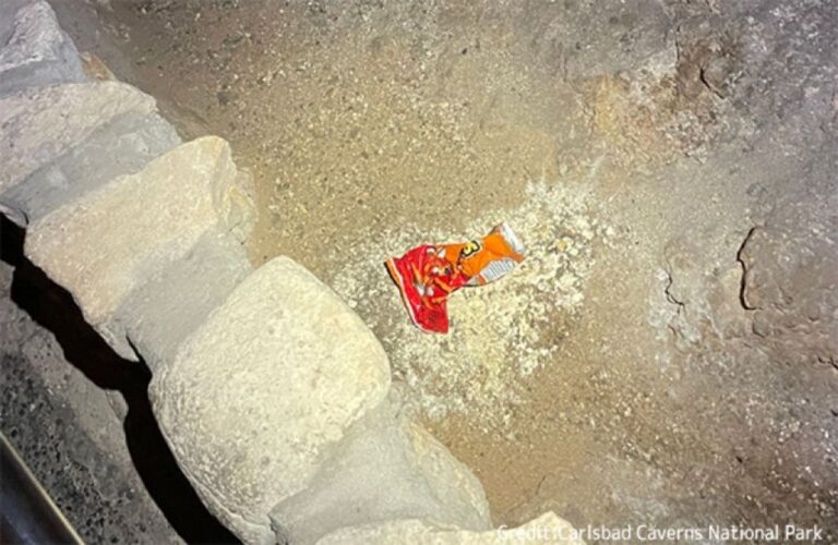 アメリカ最大級の洞窟に観光客が落としたスナック菓子が生態系に悪夢を引き起こす