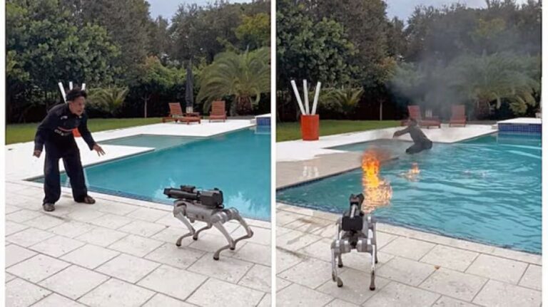 火炎放射搭載のロボット犬に芸を仕込んだ男性だが、突如火を噴射されてしまう