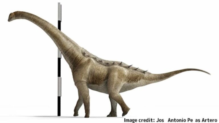 スペインで白亜紀の巨大な恐竜を発見。ティタノサウルスの仲間で体長約20m