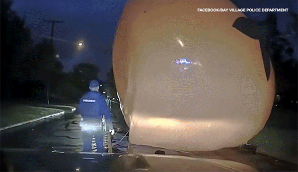 巨大カボチャが警察官を飲み込むというハプニング！