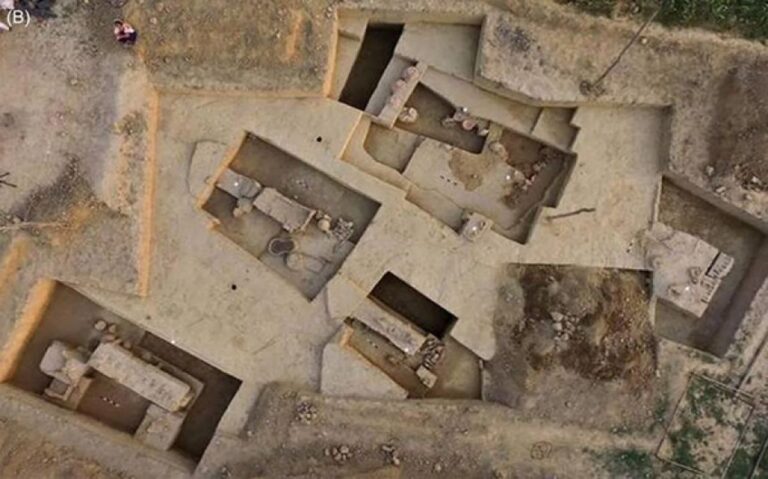 インド北部の王家の墓で4000年前の戦車が発見される